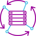 Network Diversity