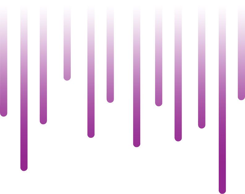 Fast Network